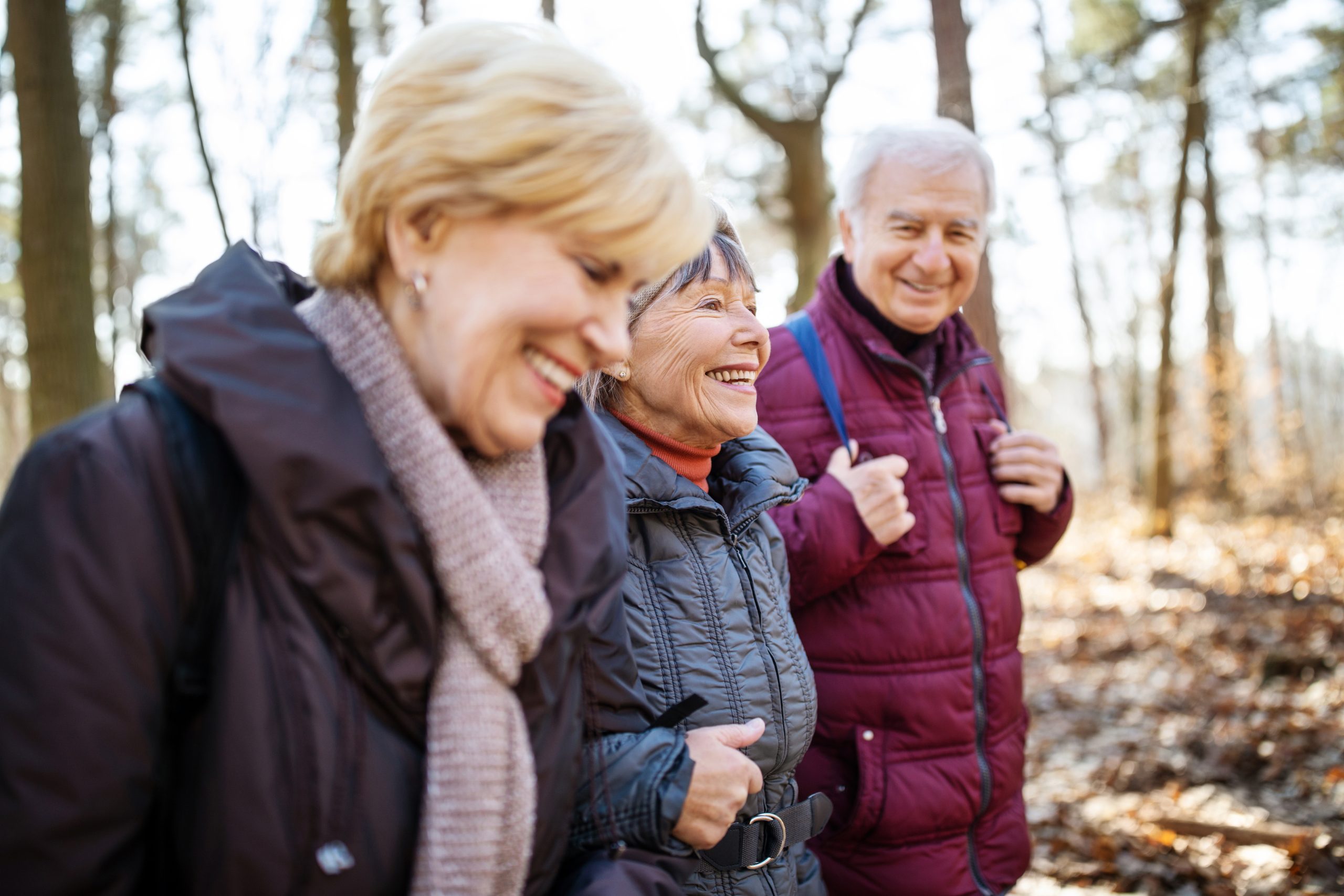 Active Seniors On Country Walk